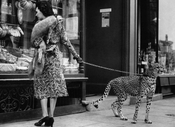 25 фотографий с редкими моментами из прошлого, которые обеспечат вам приятную ностальгию