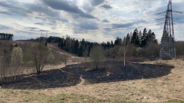 Прокуратура Зеленограда требует возбудить уголовное дело из-за возгорания травы в 17 микрорайоне