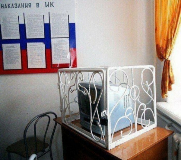 19 сообразительных ребят, которые точно не пропадут