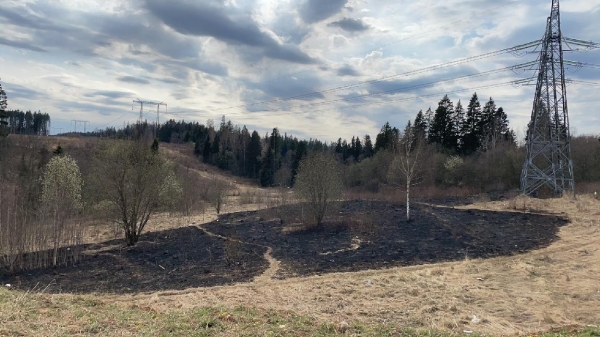 Прокуратура требует возбудить уголовное дело из-за поджога травы