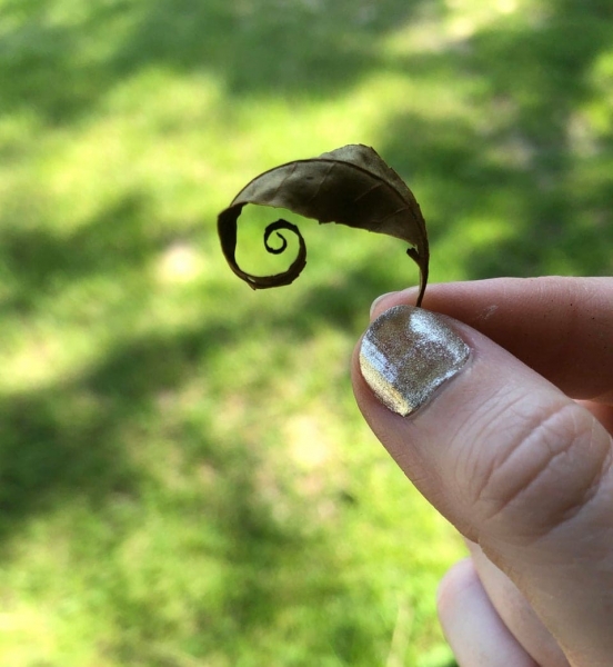 18 потрясающих снимков, похожих на кадры из видеоигр или фильмов, но это просто удачные кадры