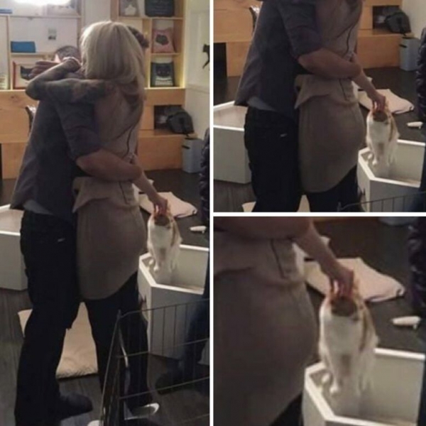 15 фотографий, которые кажутся обычными, но это только на первый