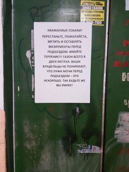 14 угарных объявлений, придуманные на просторах интернета