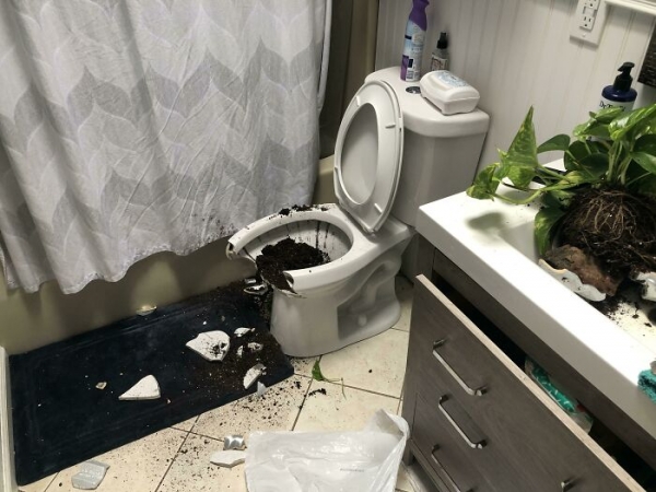 19 бытовых провалов в домах людей, которые не только принесли разрушение, но и испортили им день