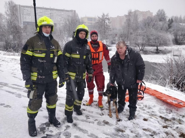 Спасатели вытащили провалившуюся под лед собаку