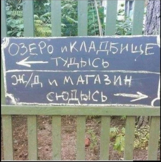 20 дорожных знаков, которые могут сбить с толку и изрядно повеселить
