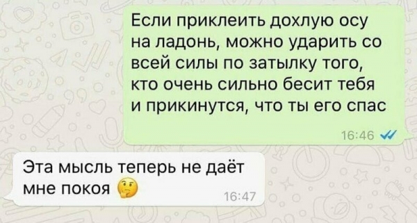 15 необычных переписок с забавным и неожиданным финалом