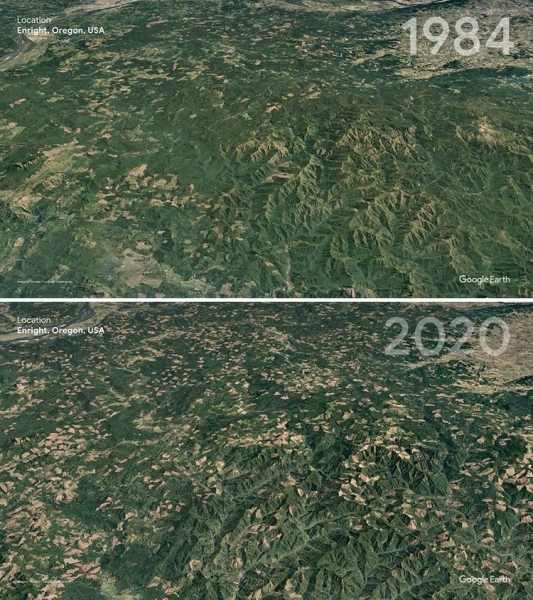 16 сравнительных фото Google Earth, показывающих, как человечество влияет на планету, и это грустная правда