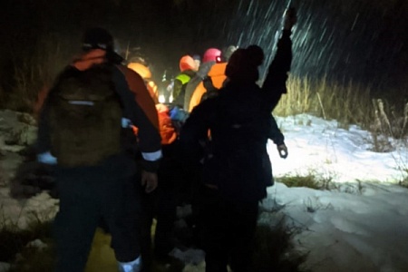Под Зеленоградом спасли заблудившегося в лесу пенсионера