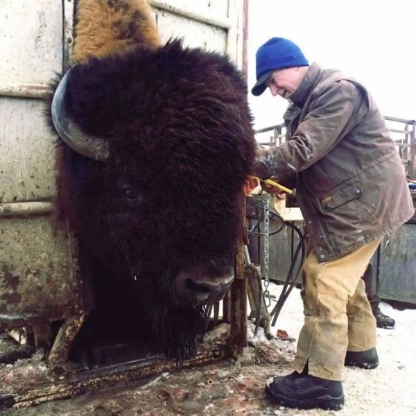 18 фото, показывающих, насколько большими могут быть животные, люди и растения, и они просто огромные