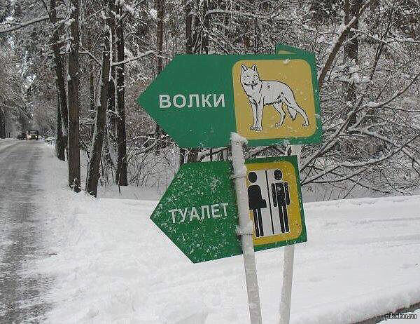 20 дорожных знаков, которые могут сбить с толку и изрядно повеселить