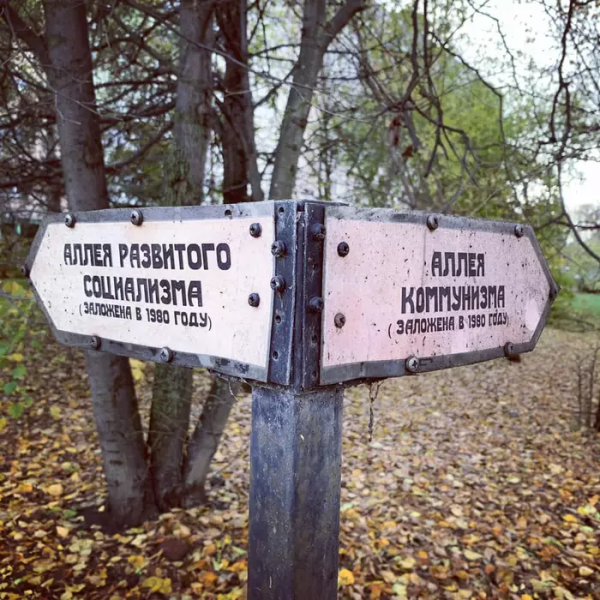 20 дорожных знаков, которые могут сбить с толку и изрядно повеселить