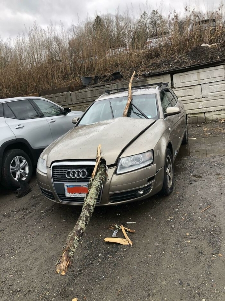 19 раз, когда автомеханики находили странные вещи в машинах, и тут зайцы под капотом и волнистые шины