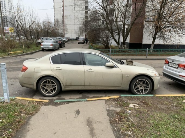 15 наглядных примеров, почему не стоит доводить девушек до того, чтобы они начали мстить
