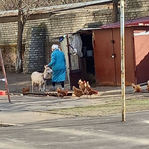18 фото гаражной романтики: друзья, машины, девушки и отдых