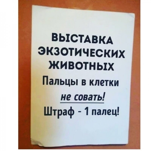 17 объявлений, которые могли придумать только наши люди