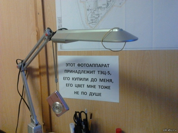 19 бестолковых табличек, которые изрядно насмешили посетителей