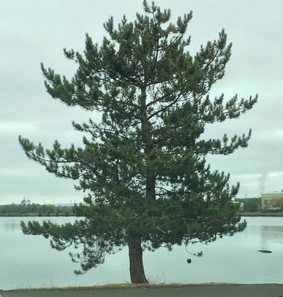 25 великолепных примеров того, как мало мы знаем о нашем мире