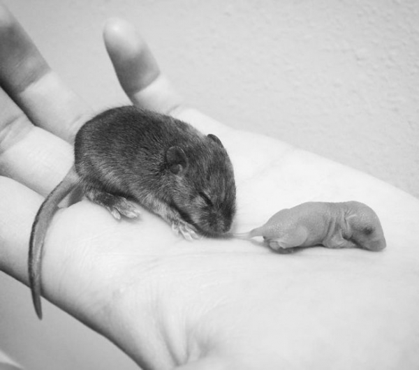 18 сильных сравнений, способных изменить ваш взгляд на окружающий мир