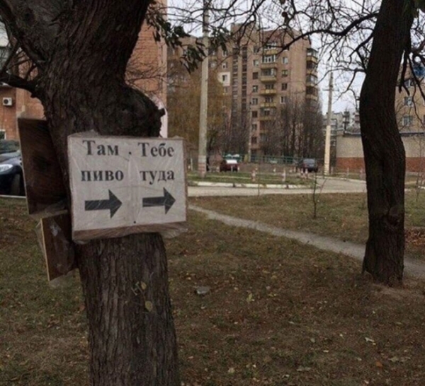 16 колоритных кадров, которые можно увидеть только у нас