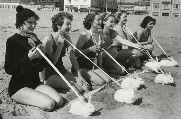 19 редких исторических фотографий, показывающих прошлое с необычной стороны