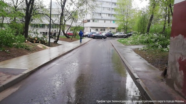 Шесть упавших из-за урагана деревьев оперативно убраны коммунальными службами Зеленограда