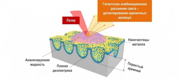 Новый гаджет для биомедицинской диагностики и мониторинга состояния окружающей среды разрабатывается в Зеленограде