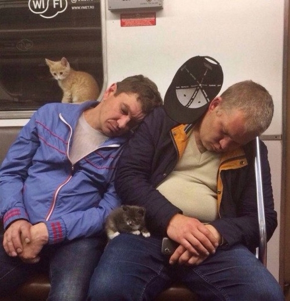 20 забаных фотографий прямиком из метро, которые доказывают, что это совершенно особенный мир