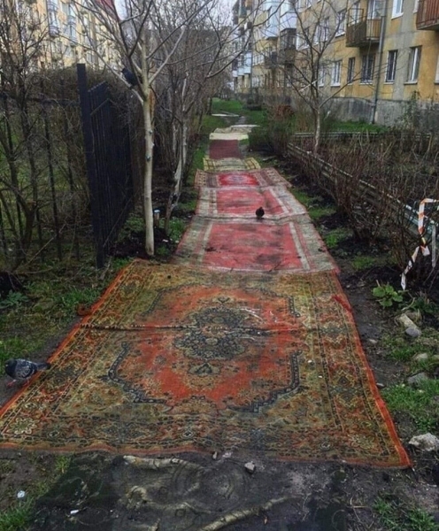 16 колоритных кадров, которые можно увидеть только у нас