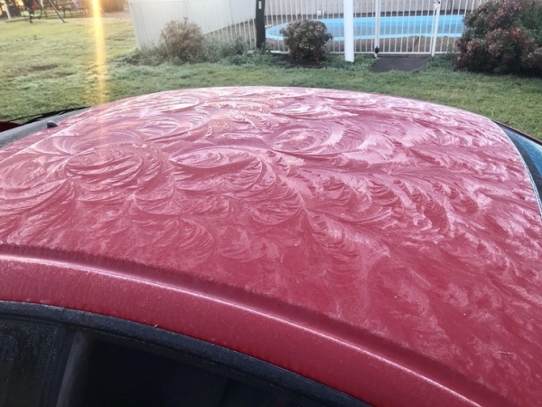 25 великолепных примеров того, как мало мы знаем о нашем мире