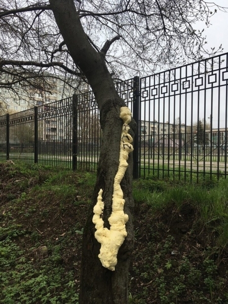 16 колоритных кадров, которые можно увидеть только у нас