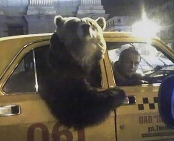 19 нелепых снимков из разряда «Как все это понимать?», которые вызывают удивление и недоумение