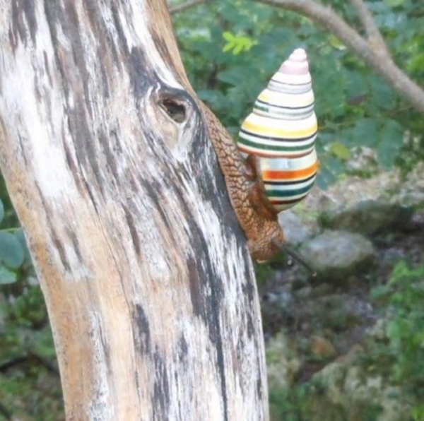 25 великолепных примеров того, как мало мы знаем о нашем мире