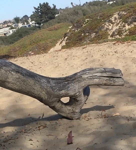 25 великолепных примеров того, как мало мы знаем о нашем мире