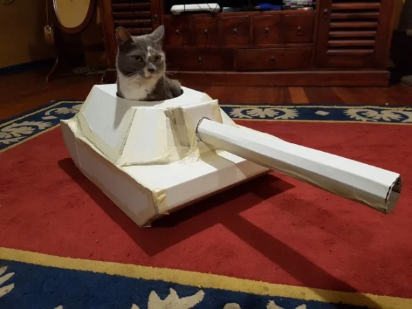 20 прикольных котиков, завоевавших соцсети, для которых хозяева специально сделали картонные танки