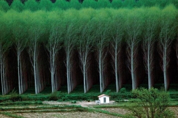 15 фотографий, которые восстанавливают гармонию несмотря ни на что