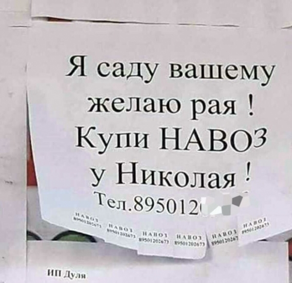 17 объявлений, которые могли придумать только наши люди