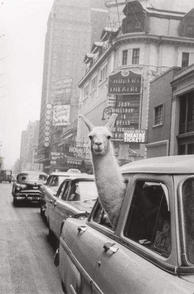 24 исторических снимков с моментами прошлого, куда хочется вернуться и посмотреть на это своими глазами