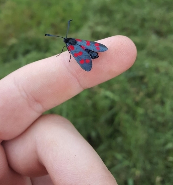 25 великолепных примеров того, как мало мы знаем о нашем мире
