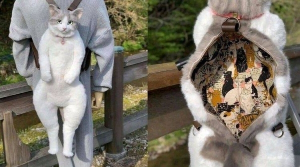 20 забавных и прикольных фото, которые поднимут настроение, даже если его нет