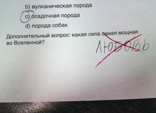 16 потешных детских перлов, от которых чумеют взрослые