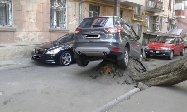 15 очень странных, но вполне реальных снимков, которые заставят вас поломать голову