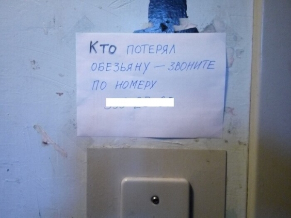17 объявлений, которые могли придумать только наши люди