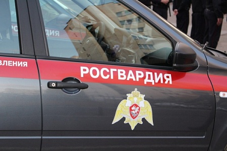 Двое мужчин незаконно срубили 40 деревьев в лесу за Южной промзоной