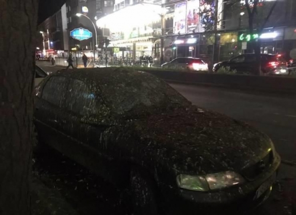 20 злополучных примеров, когда судьба-злодейка жестко, но эффективно вразумила людей