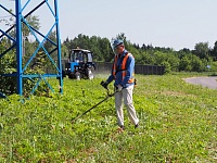 Любимые места зеленоградского борщевика
