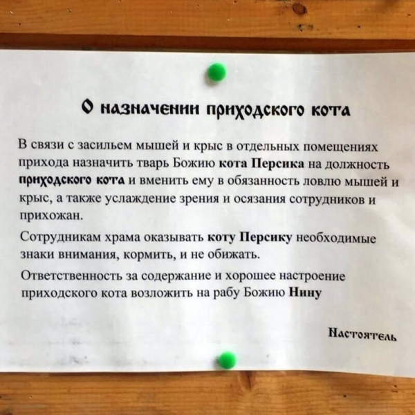 15 наглядных объявлений, которые убивают наповал своей подачей и неординарной экцентричностью