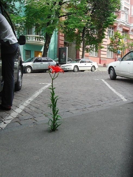 20 мотивирующих фото, которые доказывают, что в мире нет ничего