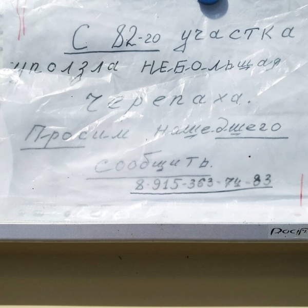 17 уморительных объявлений от оригиналов, которые заставят вас улыбнуться