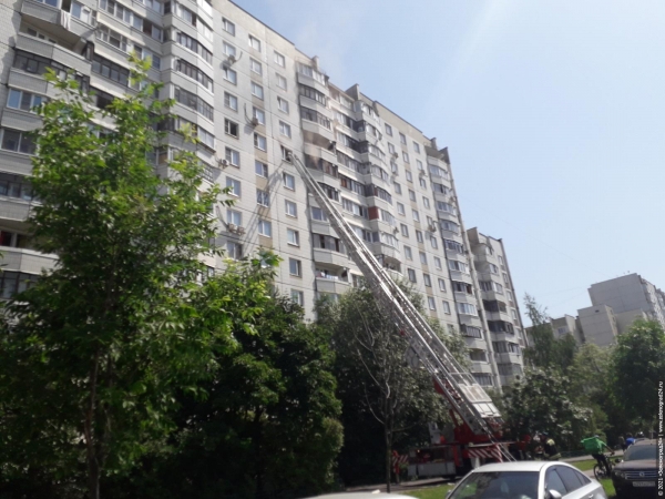 В новой части Зеленограда загорелась квартира